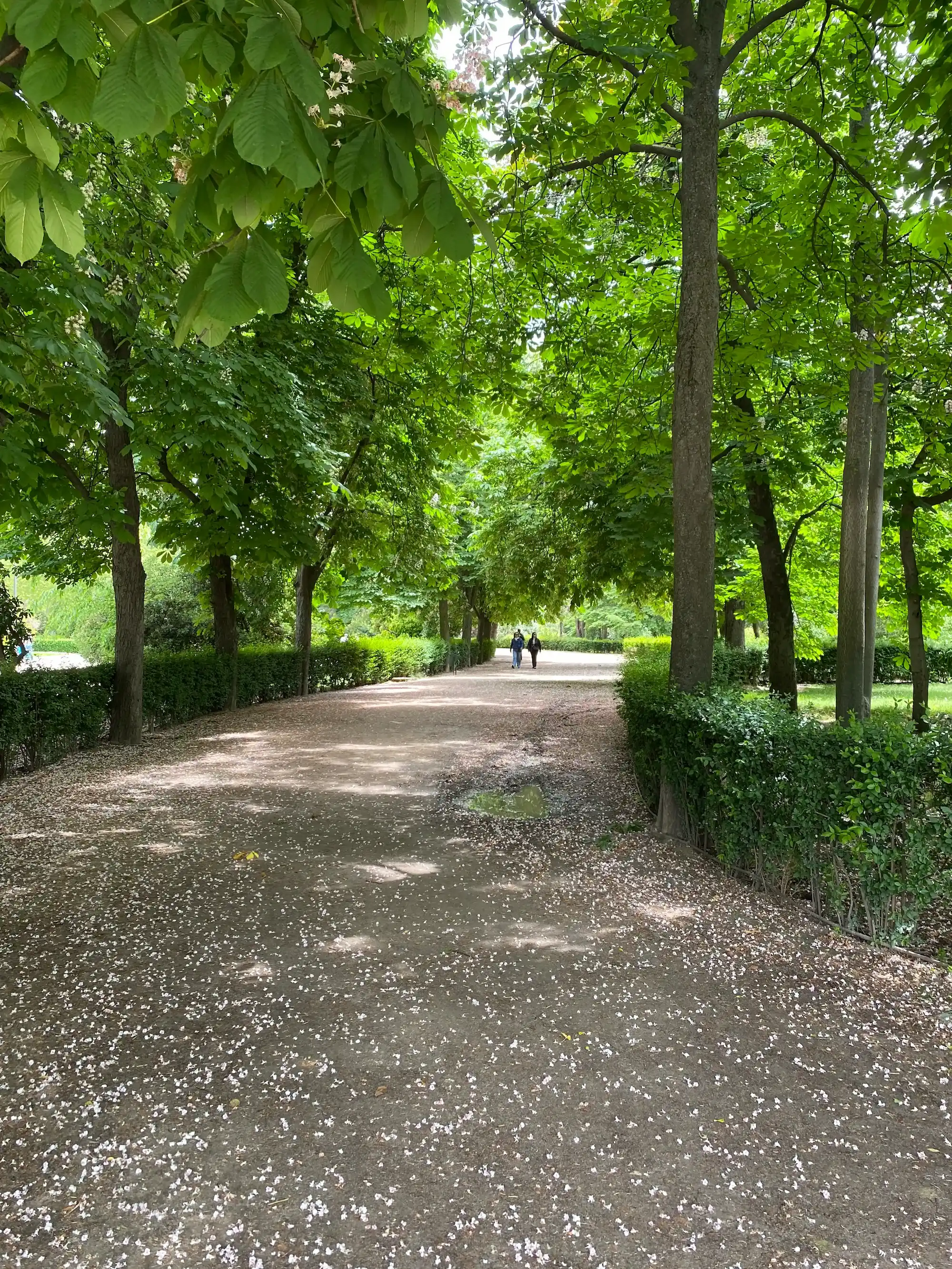 Parque del Buen Retiro view 2