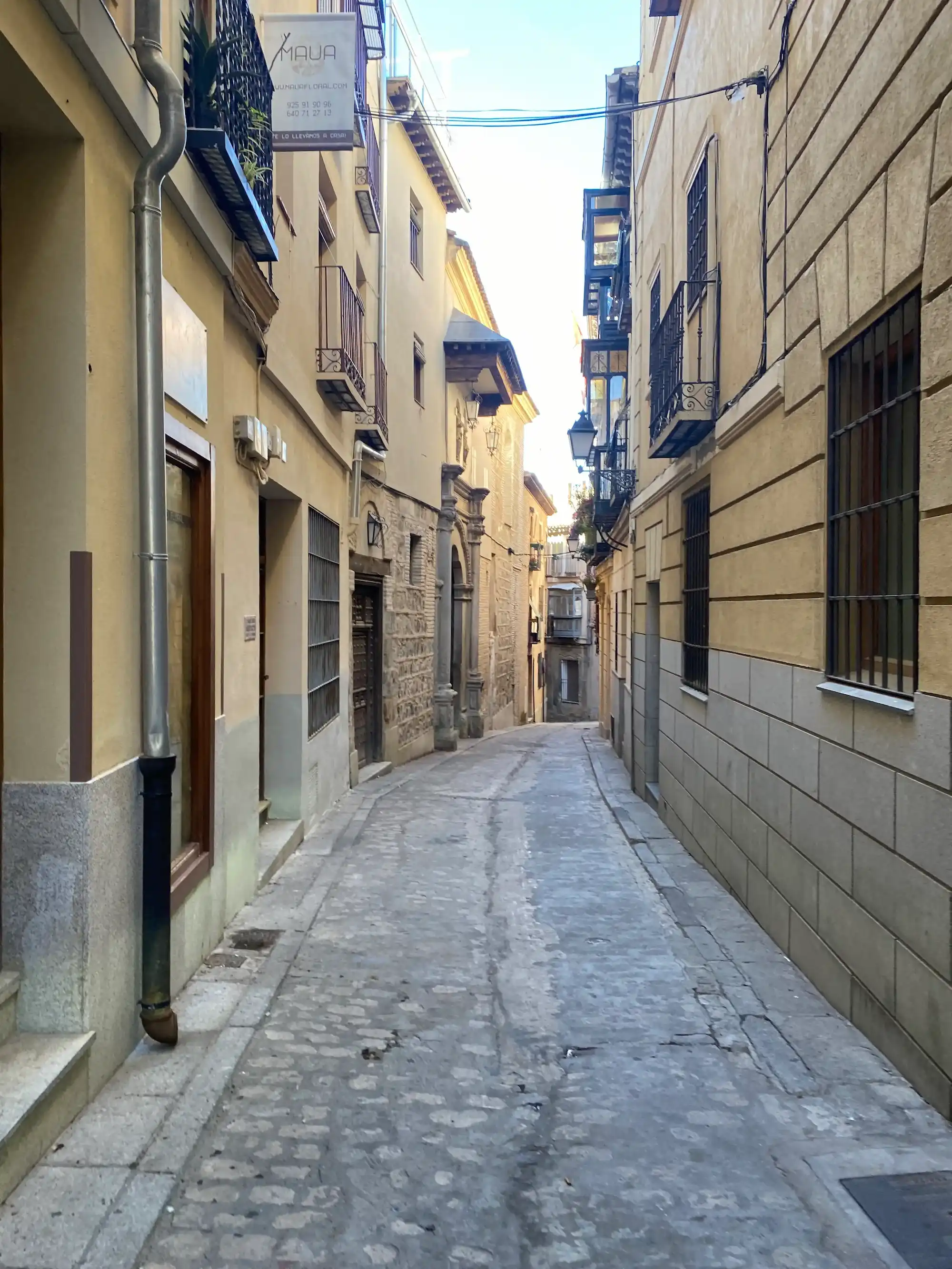 Toledo view 3
